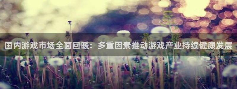 杜邦娱乐平台官网登录：国内游戏市场全面回暖：多重因素推动游戏