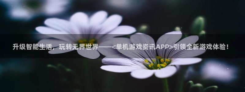 杜邦娱乐咨询：升级智能生活，玩转无界世界——<单机游戏资讯A