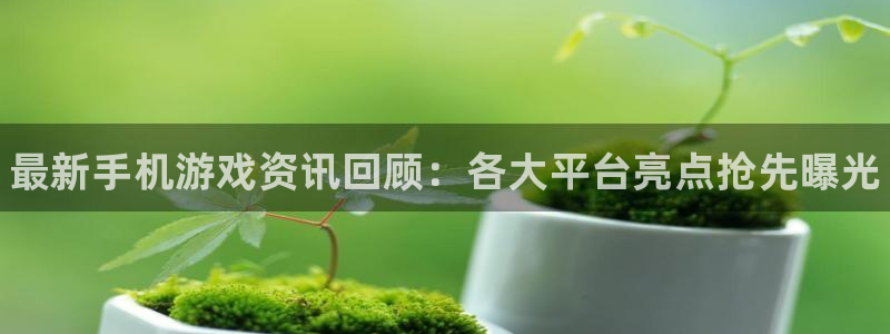 杜邦娱乐在线登录：最新手机游戏资讯回顾：各大平台亮点抢先曝光