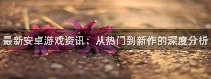 杜邦娱乐测速：最新安卓游戏资讯：从热门到新作的深度分析