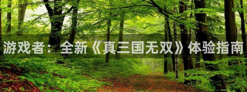 杜邦娱乐Ii：游戏者：全新《真三国无双》体验指南