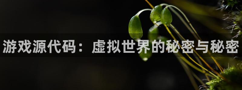 杜邦娱乐app下载|下载地址：游戏源代码：虚拟世界的秘密与秘