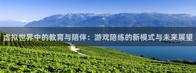 杜邦娱乐平台注册资金多少：虚拟世界中的教育与陪伴：游戏陪练的