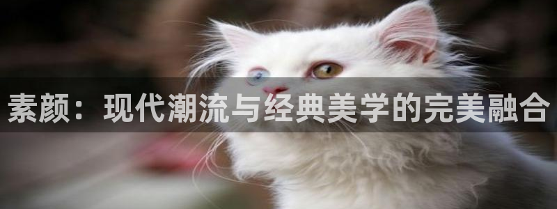 杜邦娱乐官网登录：素颜：现代潮流与经典美学的完美融合